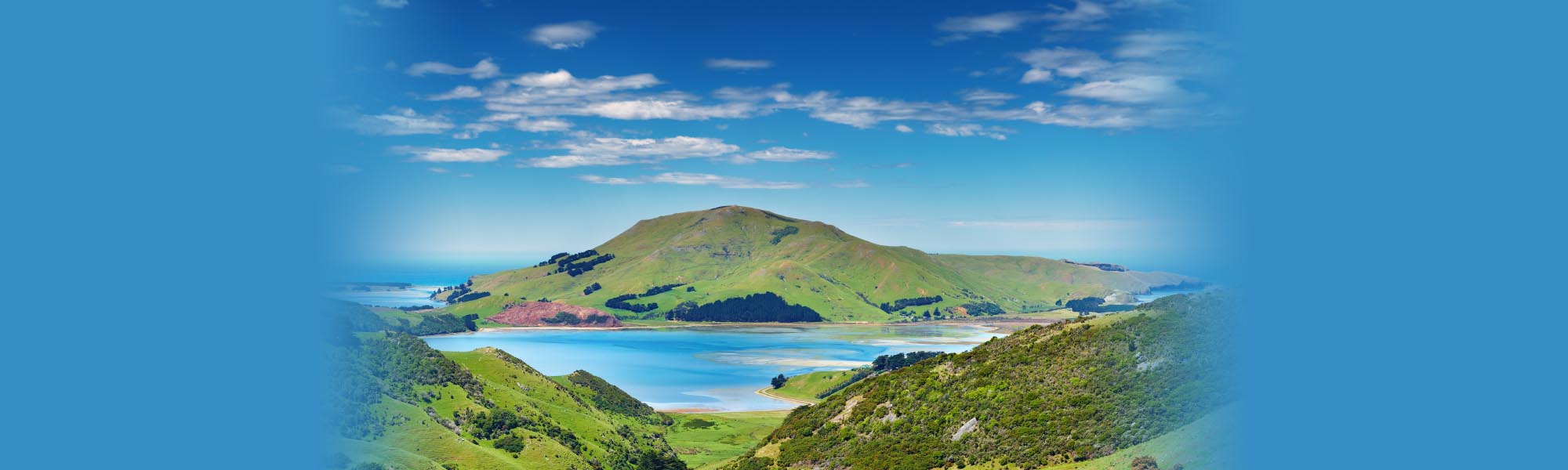 Teach English in New Zealand