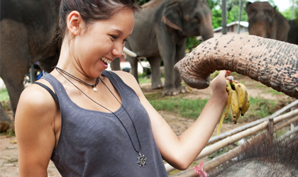 View the i-to-i Ultimate Thailand Adventure TEFL Trip