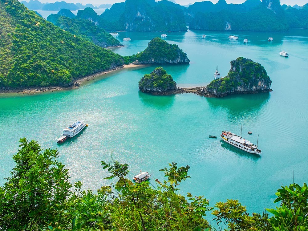 Paid Vietnam TEFL Internship