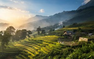 Rice fields on terraced in sunset at SAPA, Lao Cai, Vietnam. Rice fields prepare the harvest at Northwest Vietnam