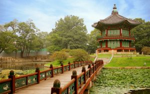 Free Korea TEFL Accommodation