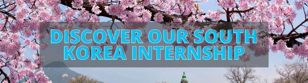 discover our south korea internship