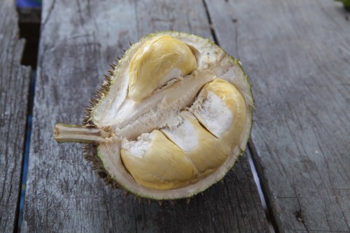 Durian fruit, a smelly fruit banned on public transport across much of Asia!
