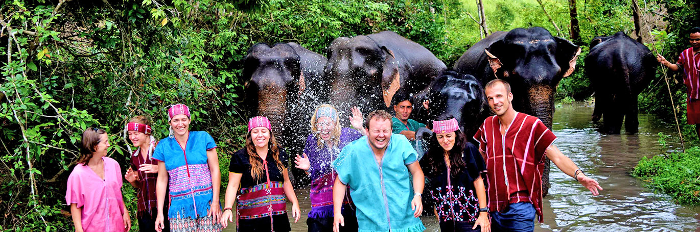 TEFL students with elephants