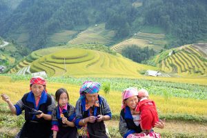 4 women stood on fields in Vietnam