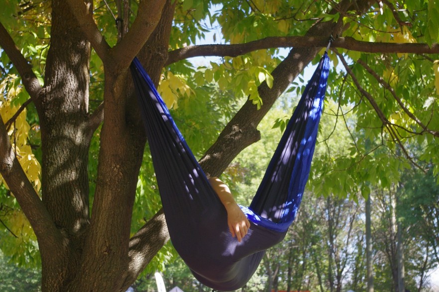 Hammock hanging between branches of a tree