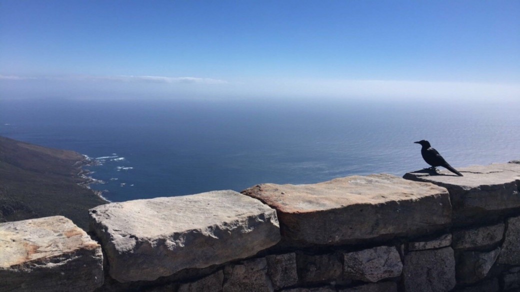 View from the ascent to the top of Table Mountain, South Africa.