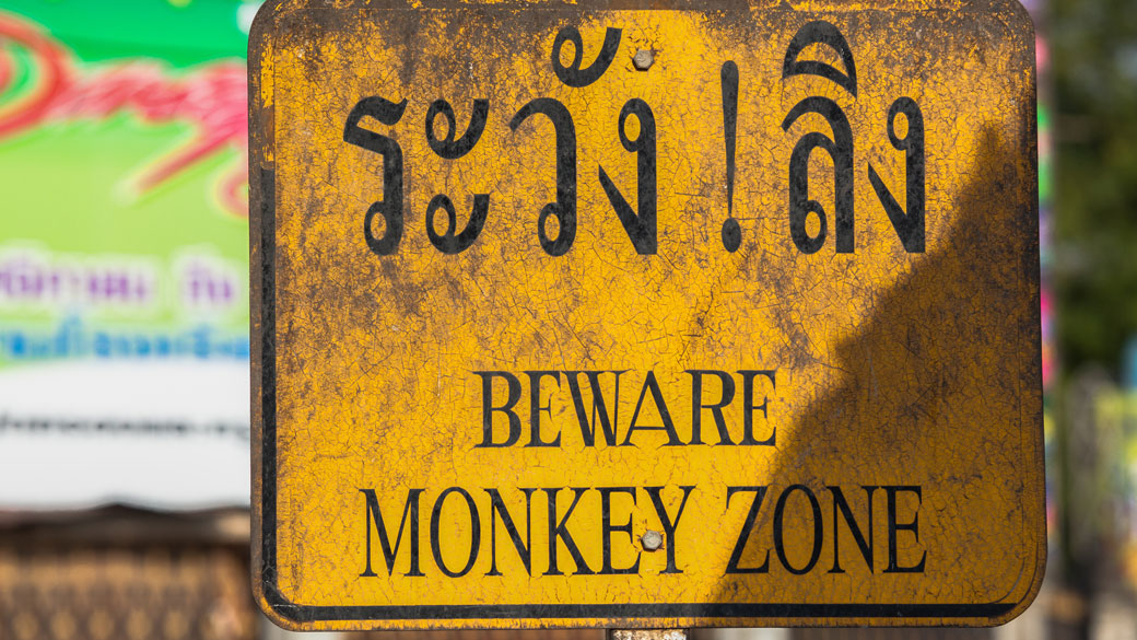 Beware of the monkeys