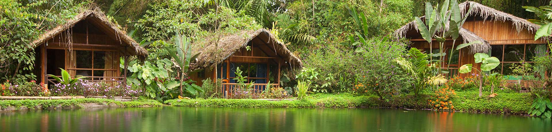 South American tree huts in djungle