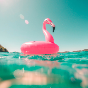 flamingo inflatable in a pool