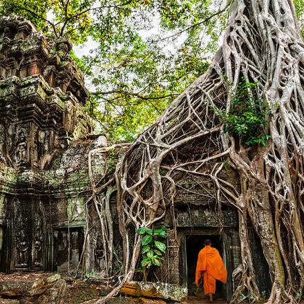 Monk at Angkor Wat