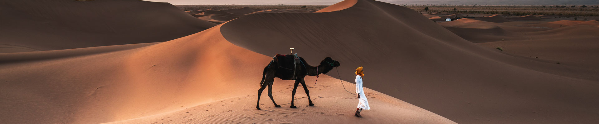 A person walking a camel in the desert