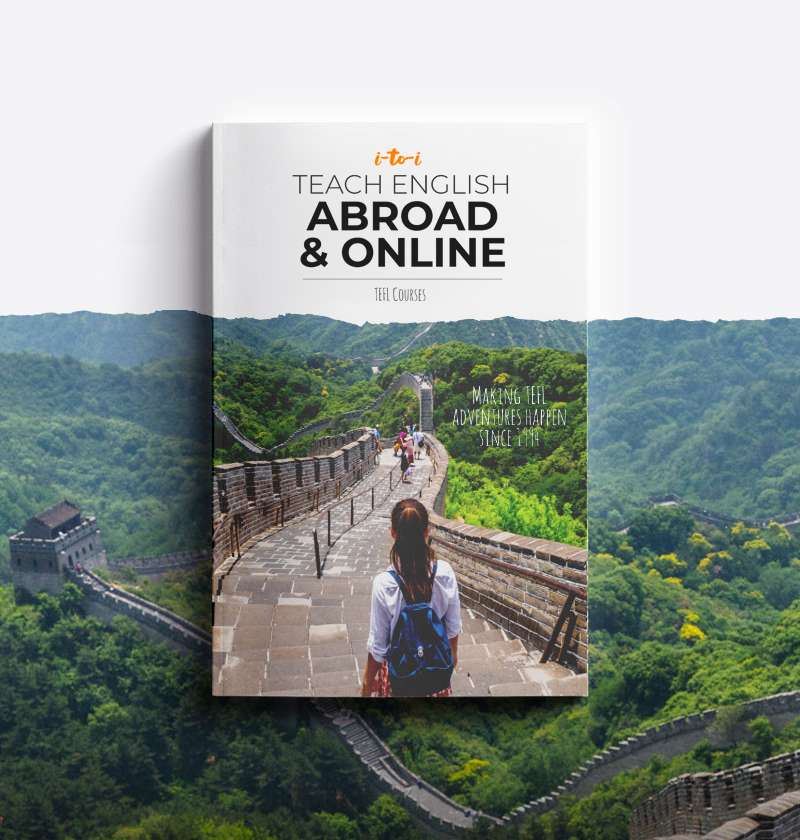 tefl courses brochure thumbnail mockup