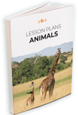 animal lesson plan brochure