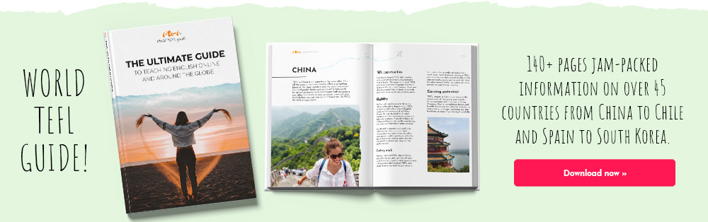 World TEFL guide download banner