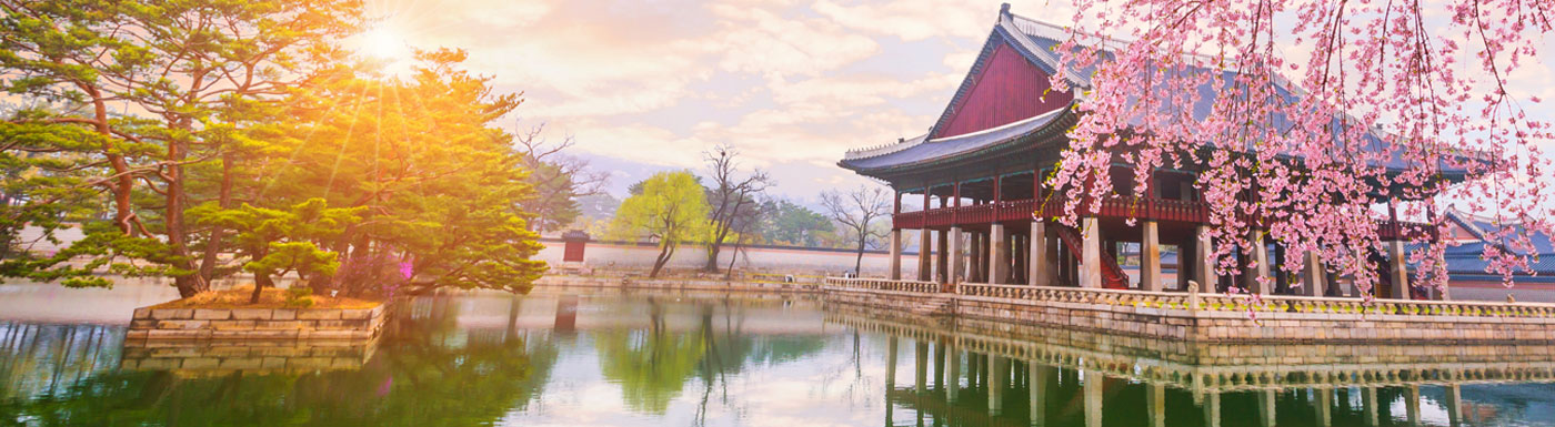 Lake with building and blossom tree in South Korea