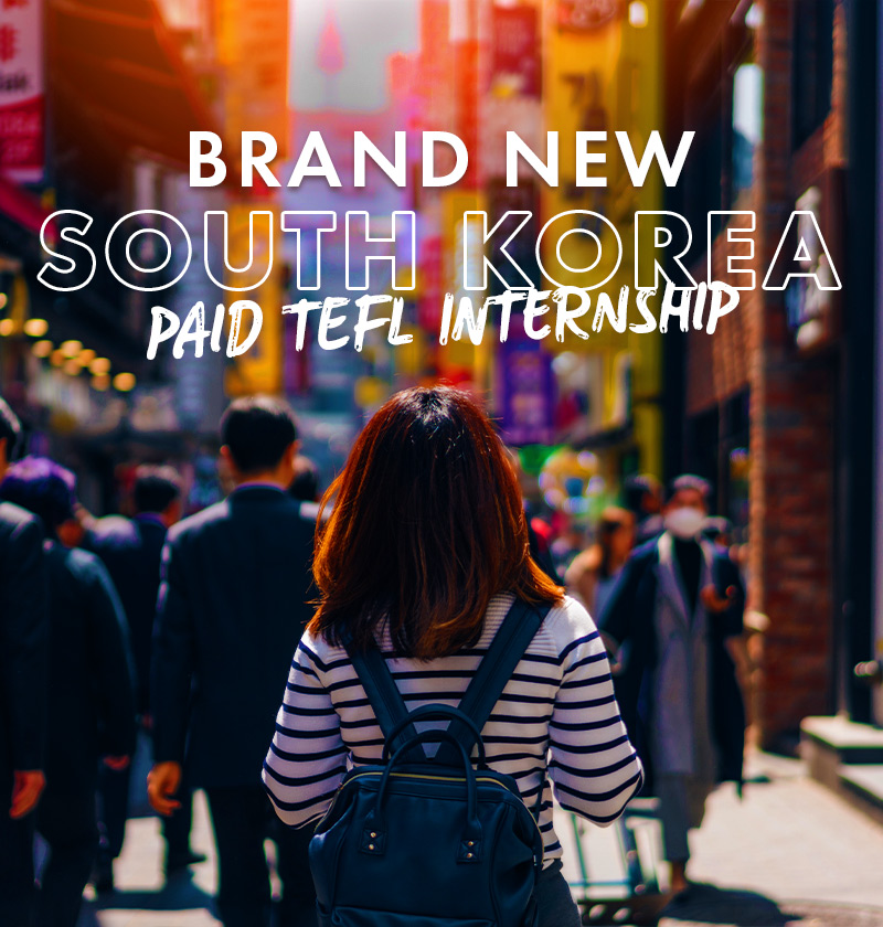 South Korea Internship