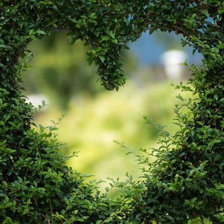 green leaf heart