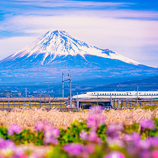 Mount Fuji