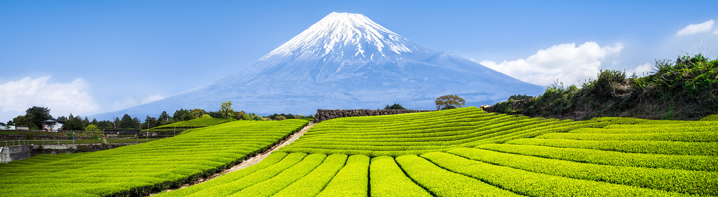 Mount Fuji