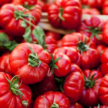 LA TOMATINA FESTIVAL - REASONS TO TEFL IN SPAIN