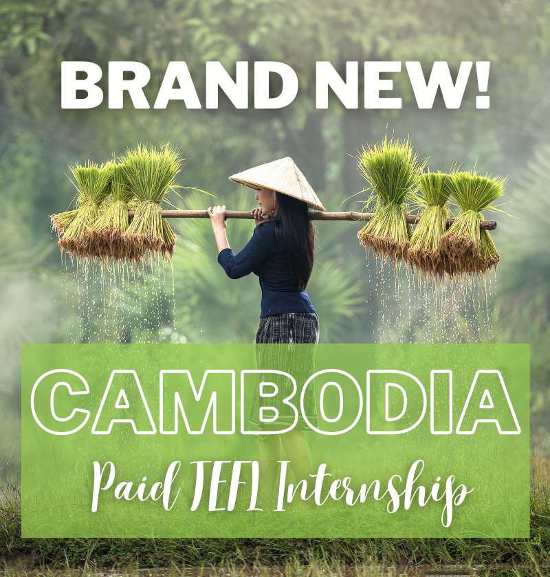 cambodia internship